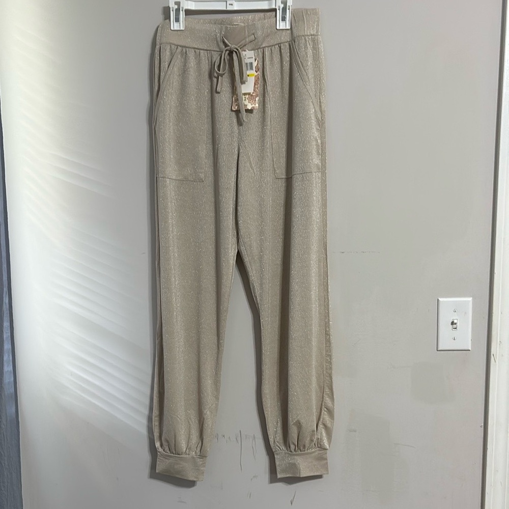 Band of Gypsies Jogger sheer pants